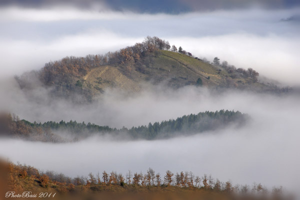 isole-nella-nebbia-1112282f-d820-475f-ba8f-d7b01555b6a3