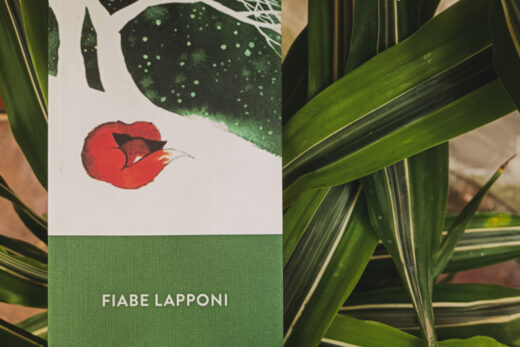 "Fiabe Lapponi"