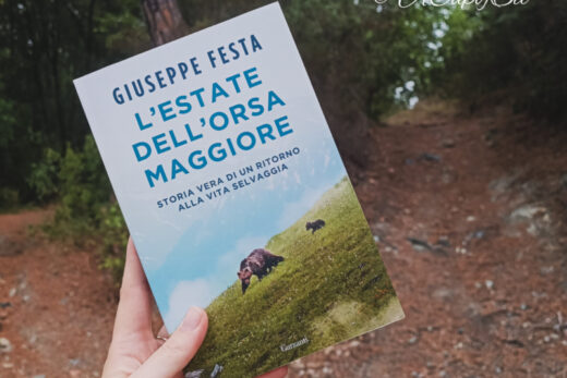 "L'Estate dell'Orsa Maggiore" di Giuseppe Festa