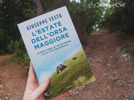 "L'Estate dell'Orsa Maggiore" di Giuseppe Festa