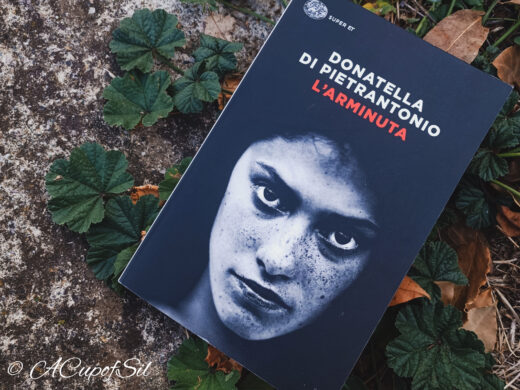 "L'Arminuta" di Donatella Di Pietrantonio