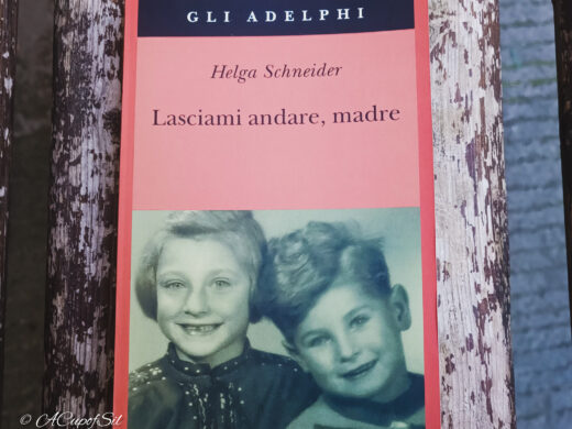 "Lasciami andare, madre" di Helga Schneider