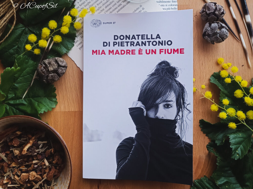 "Mia madre è un fiume" di Donatella Di Pietrantonio