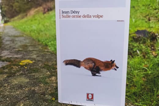 "Sulle orme della volpe" di Jean Désy