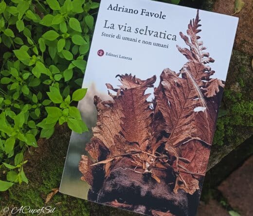 "La vita selvatica" di Adriano Favole