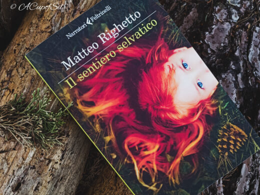 "Il sentiero selvatico" di Matteo Righetto