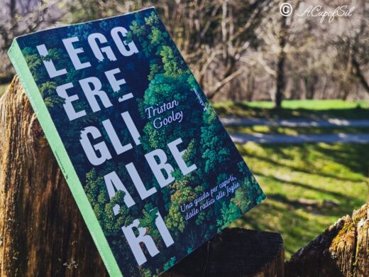 "Leggere gli alberi" di Tristan Gooley
