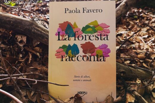 "La foresta racconta" di Paola Favero