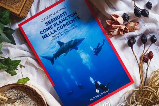 "Sbandati come plancton nella corrente" di Claudio Di Manao