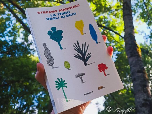 "La tribù degli alberi" di Stefano Mancuso